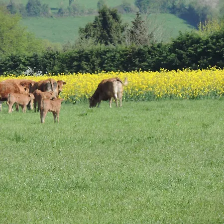 Szálloda Les Vergers De La Vicomte D'auge Clarbec