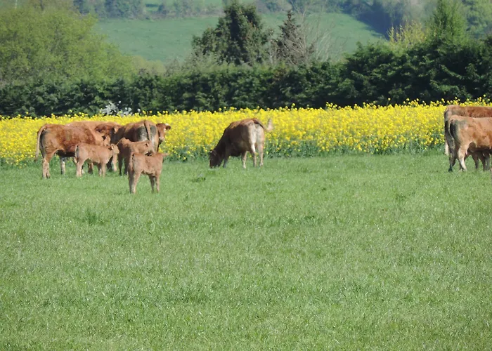 Hotel Les Vergers De La Vicomte D'auge Clarbec